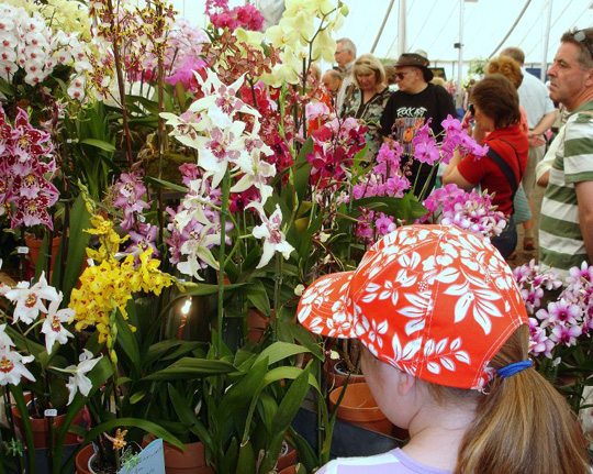 Hampton Court Palace Flower Show 2008 -    