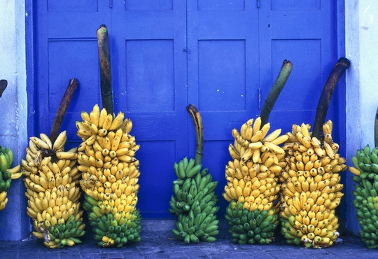Британский ученый создал "дрова" из банановой кожуры  