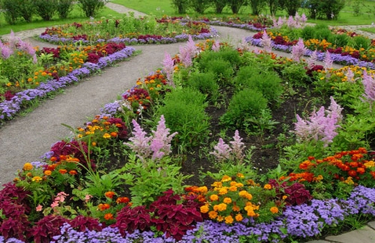 Москву украсят 2,3 тысячи цветников