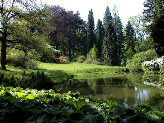 Ботанический сад в Пругонице
