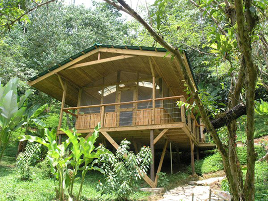 Дома на деревьях Finca Bellavista в Коста-Рике