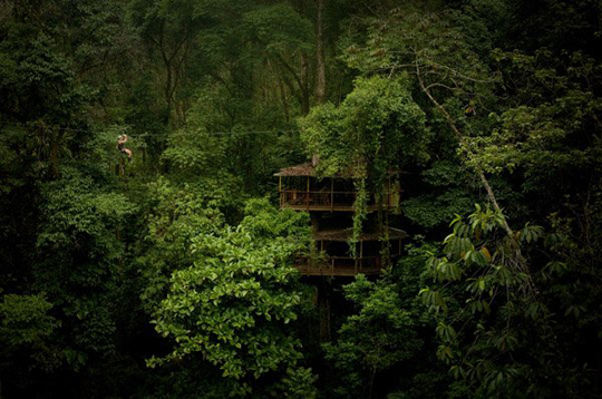 Дома на деревьях Finca Bellavista в Коста-Рике