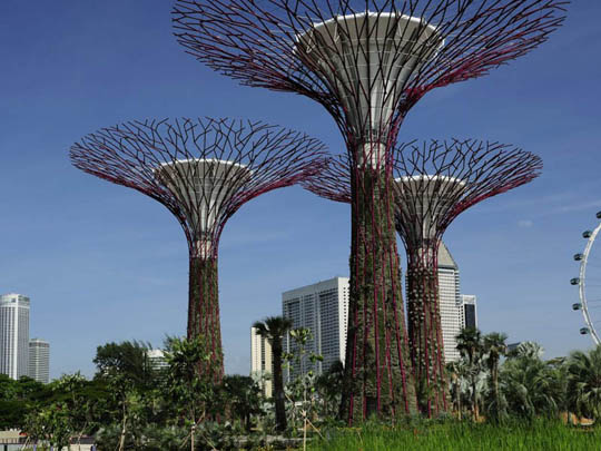 Сингапурские инновации в ландшафте