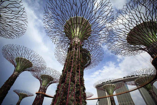 Сингапурские инновации в ландшафте