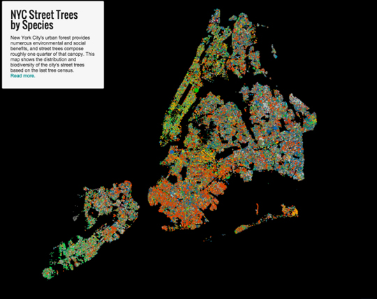 В Нью-Йорке составили интерактивную карту деревьев