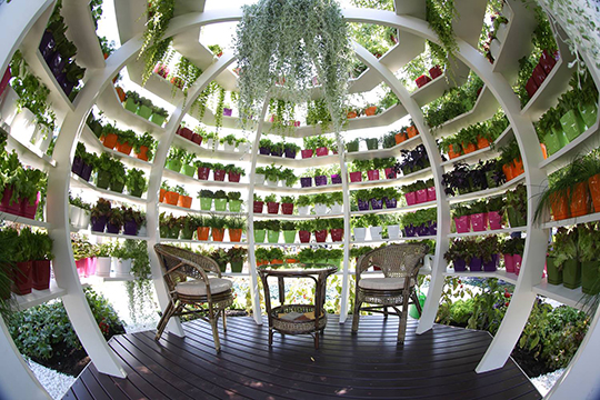 Moscow Flower Show 2015