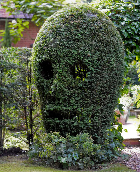 Гигантский череп в саду