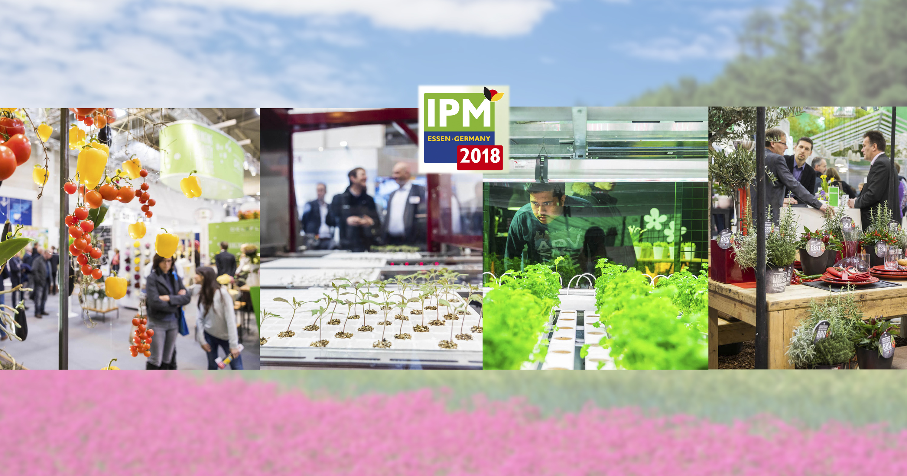 IPM ESSEN 2018 - мировые продукты садоводства и инновации