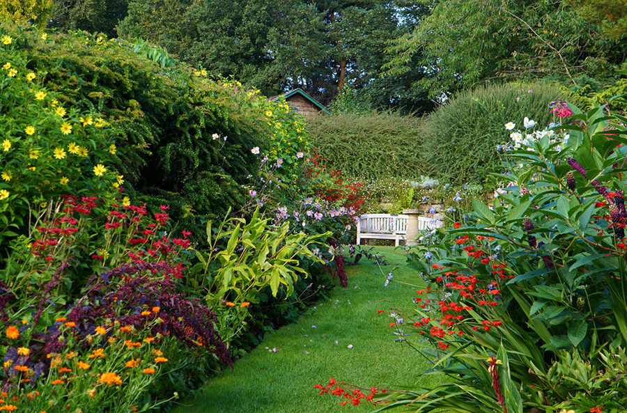 Миксбордер является популярнейшим видом сада озеленение ландшафтный дизайн