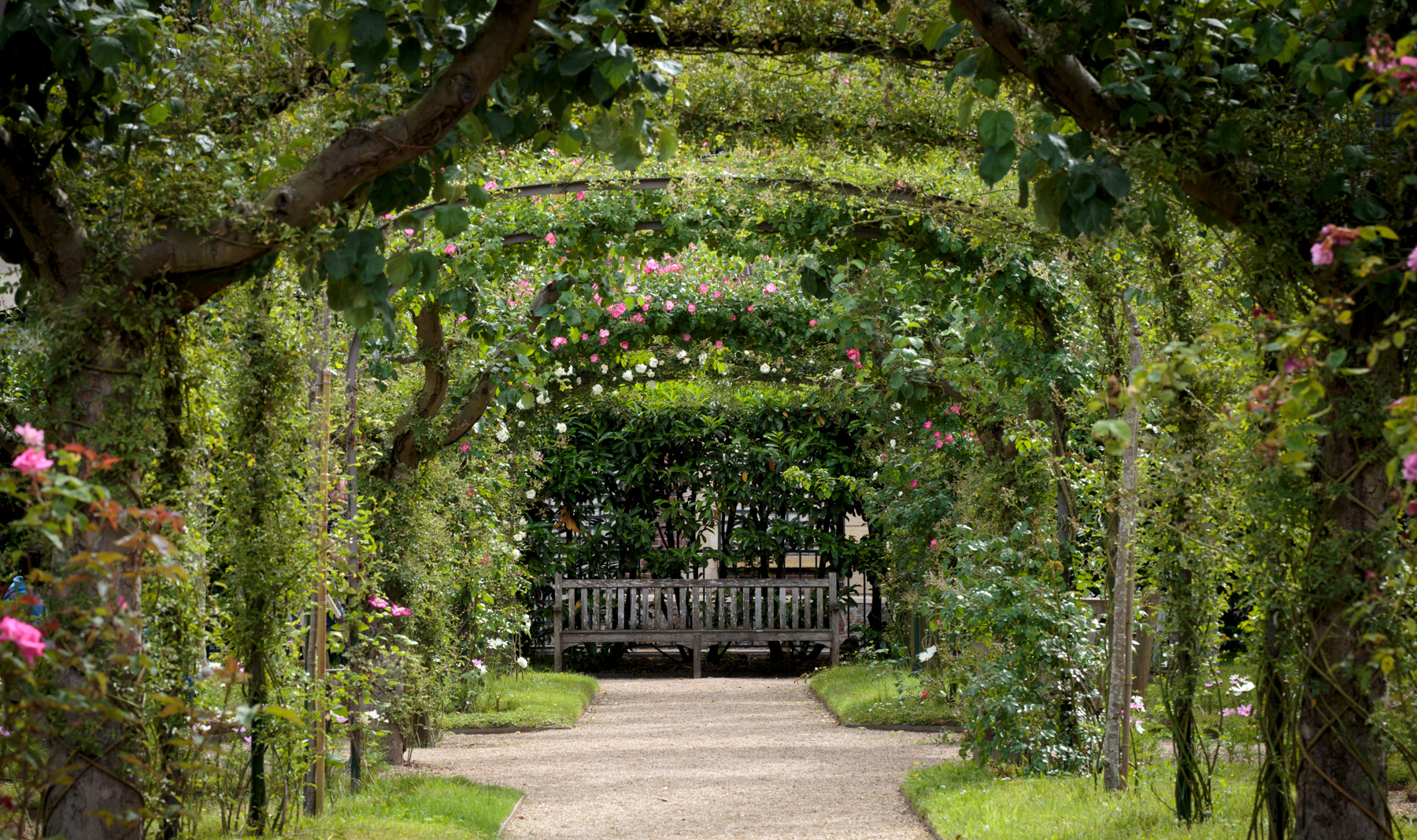 Сады Альбер-Кан (Les Jardin d'Albert Kahn)
